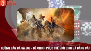 Hướng Dẫn Đá Gà J88 - Dễ Chinh Phục Thế Giới Chọi Gà Đẳng Cấp